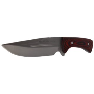 Nóż Muela Jabali-17E Coral Pakkawood, Satin X50CrMoV15 Muela
