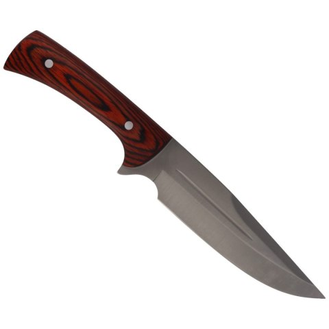Nóż Muela Jabali-17E Coral Pakkawood, Satin X50CrMoV15 Muela