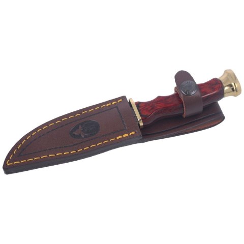 Nóż Muela BWF-10 Pakka Wood, Stain X50CrMoV15 Muela