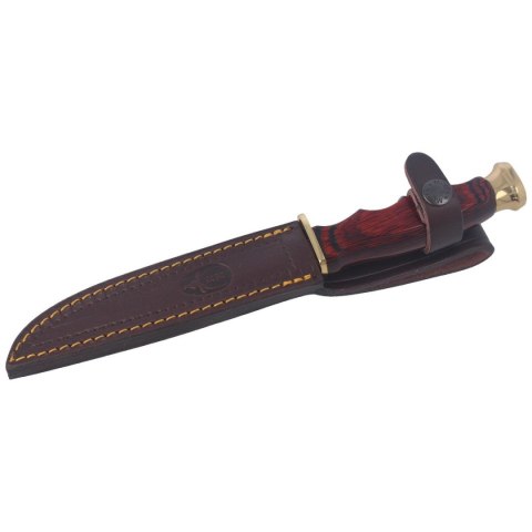 Nóż Muela BWF-14 Pakka Wood, Stain X50CrMoV15 Muela