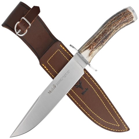 Nóż Muela Deer Stag, Satin X50CrMoV15 (SARRIO-19A) Muela