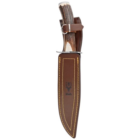 Nóż Muela Deer Stag, Satin X50CrMoV15 (SARRIO-19A) Muela