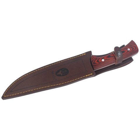Nóż Muela Full Tang Pakkawood, Satin X50CrMoV15 (JABALI-21E) Muela