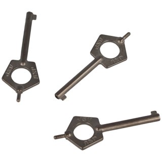 Kluczyki do kajdanek ASP Pentagon Handcuff Keys 3szt (56523-3) ASP Inc.