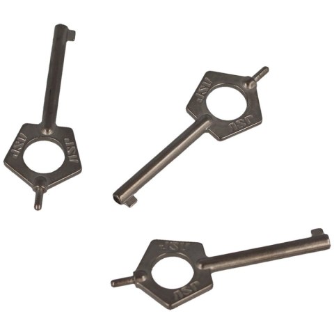 Kluczyki do kajdanek ASP Pentagon Handcuff Keys 3szt (56523-3) ASP Inc.