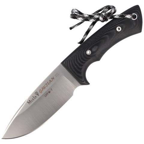Nóż Muela Full Tang Black Micarta, Satin 1.4116 CRYO-T (GAVILAN M) Muela