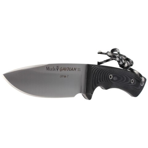 Nóż Muela Full Tang Black Micarta, Satin 1.4116 CRYO-T (GAVILAN M) Muela