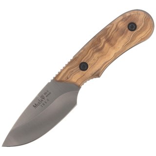 Nóż Muela Full Tang Olive Wood, Satin X50CrMoV15 (IBEX-8.OL) Muela