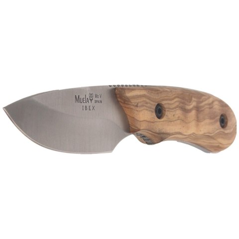 Nóż Muela Full Tang Olive Wood, Satin X50CrMoV15 (IBEX-8.OL) Muela