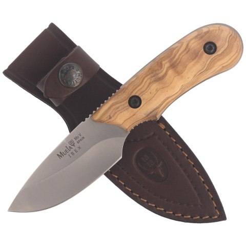 Nóż Muela Full Tang Olive Wood, Satin X50CrMoV15 (IBEX-8.OL) Muela