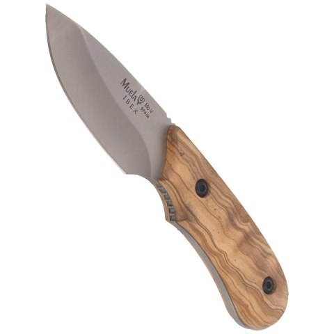 Nóż Muela Full Tang Olive Wood, Satin X50CrMoV15 (IBEX-8.OL) Muela