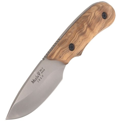 Nóż Muela Full Tang Olive Wood, Satin X50CrMoV15 (IBEX-8.OL) Muela