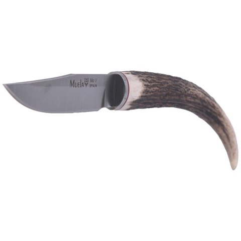 Nóż na szyję Muela Deer Stag Neck Knife, Satin 1.4116 (BW-6.C) Muela