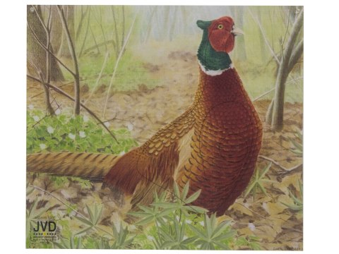 Tarcza papierowa JVD bażant 50 x 44 cm NN