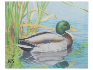 Tarcza papierowa JVD kaczka 49 x 40 cm NN