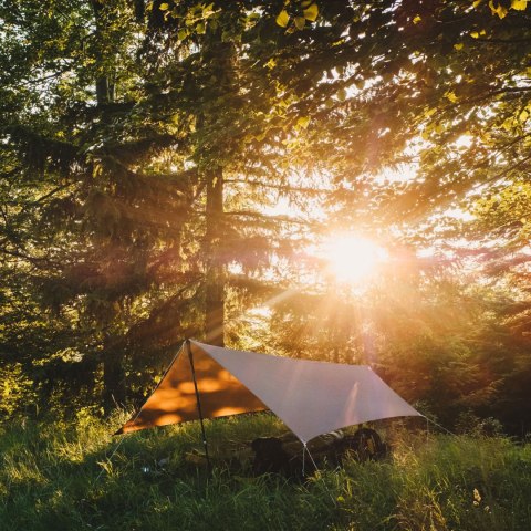 Tarp Lesovik ZMORA walnut brown Lesovik