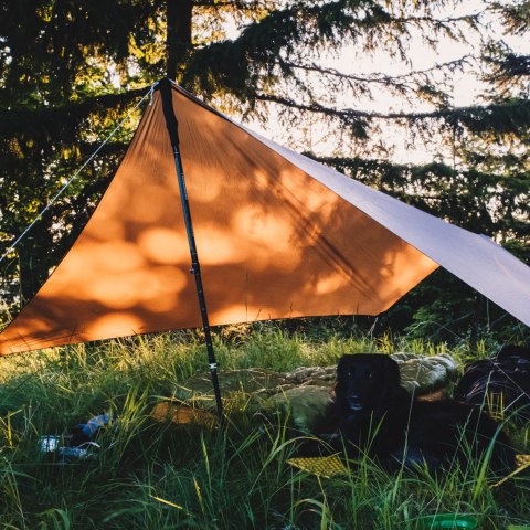 Tarp Lesovik ZMORA walnut brown Lesovik