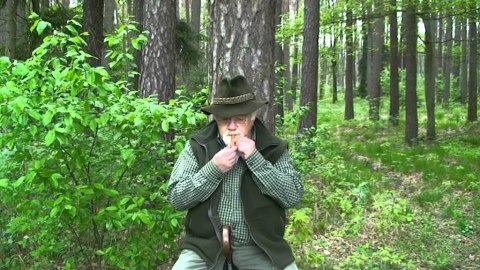 Wabiki na lisy Eurohunt Weisskirchen - zestaw (flet + szczek) Eurohunt