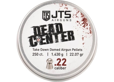 Airgun Pellets JTS Dead Center Precision 5.5 mm 22.07 grain śrut