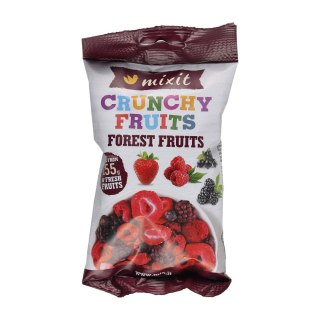 Chrupiąca mieszanka leśna Mixit 20 g Mixit