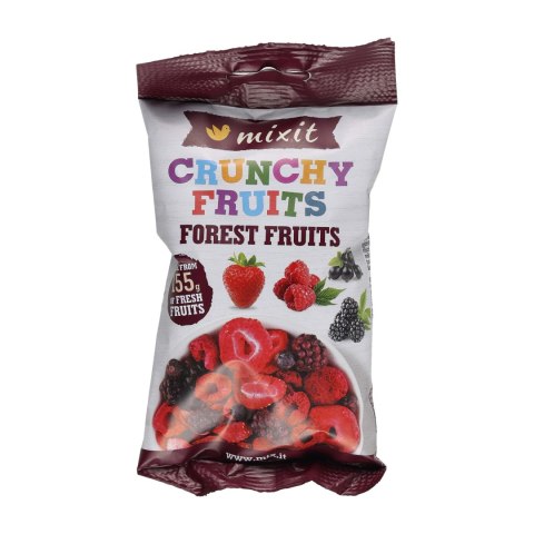 Chrupiąca mieszanka leśna Mixit 20 g Mixit