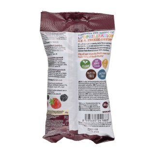 Chrupiąca mieszanka leśna Mixit 20 g Mixit