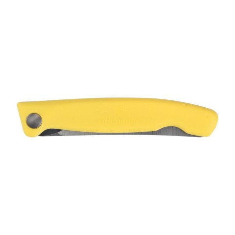 Nóż do steków i pizzy Victorinox Swiss Classic 6.7838.FC1 ząbkowany żółty Victorinox