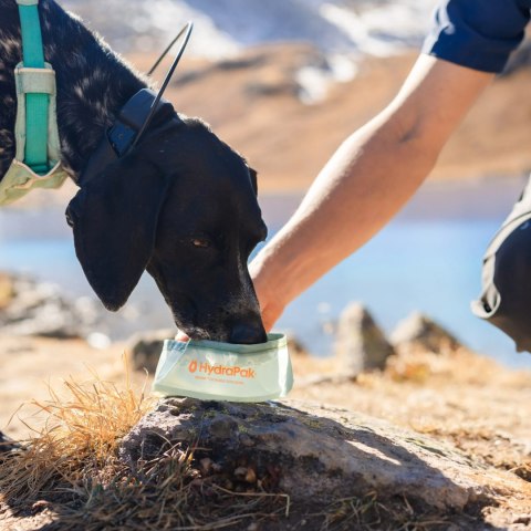 Miska dla psa HydraPak Rover Dog Bowl - sutro green HydraPak