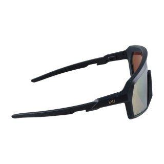 Okulary Wiley X Citadel CHCTD10 gold / graphite grey Wiley X