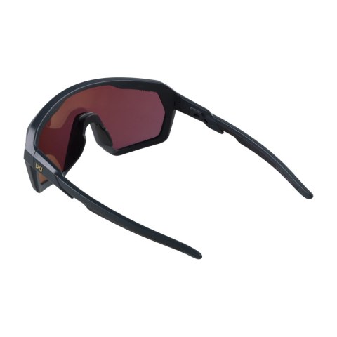 Okulary Wiley X Citadel CHCTD10 gold / graphite grey Wiley X