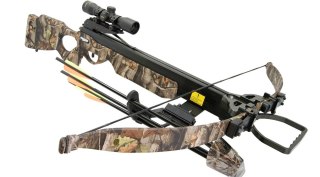 Jandao Chace Star 175LB