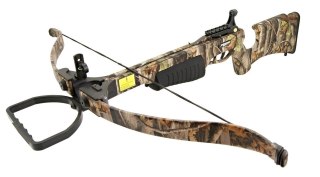 Jandao Chace Wind 150LB Set