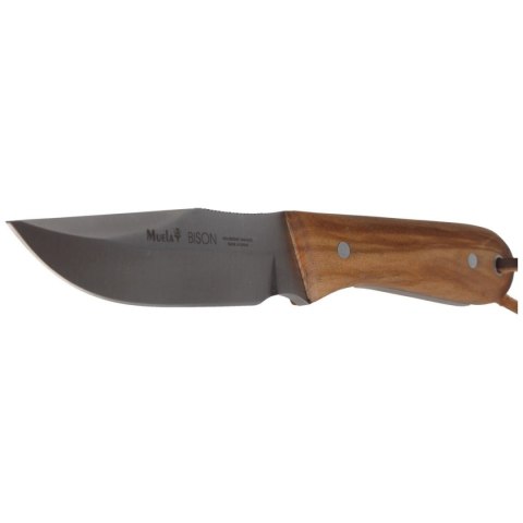 Nóż Muela Bison-9.OL Olive Wood, Satin X50CrMoV15 Muela