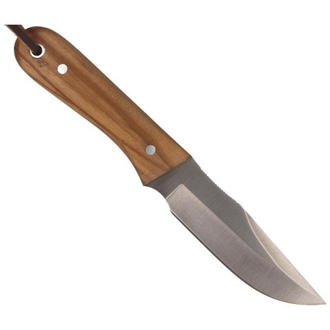 Nóż Muela Bison-9.OL Olive Wood, Satin X50CrMoV15 Muela