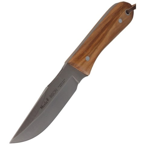 Nóż Muela Bison-9.OL Olive Wood, Satin X50CrMoV15 Muela