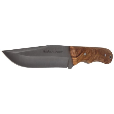 Nóż Muela Full Tang Olive Wood, Satin X50CrMoV15 (PIONEER-14.OL) Muela