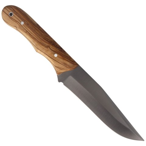 Nóż Muela Full Tang Olive Wood, Satin X50CrMoV15 (PIONEER-14.OL) Muela