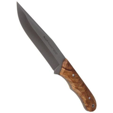 Nóż Muela Full Tang Olive Wood, Satin X50CrMoV15 (PIONEER-14.OL) Muela