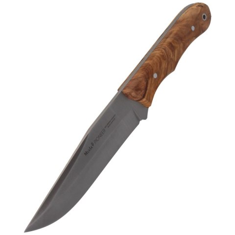 Nóż Muela Full Tang Olive Wood, Satin X50CrMoV15 (PIONEER-14.OL) Muela
