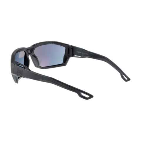 Okulary Wiley X Alpine Captivate ACALP02 grey / black Wiley X