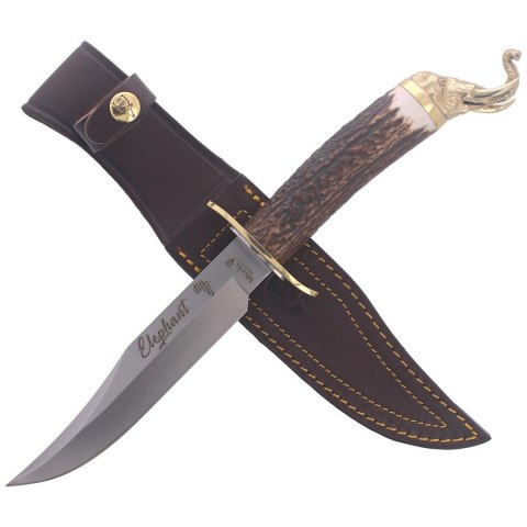 Nóż Muela Big Five Deer Stag, Satin 1.4116 Gift Box (ELEPHANT-16BF) Muela