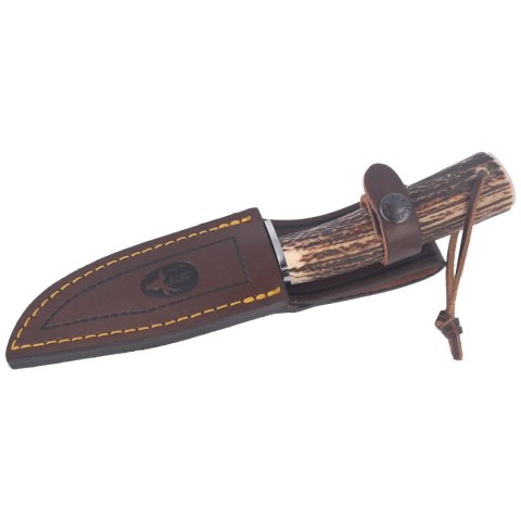 Nóż Muela Braco-11A Deer Stag, Satin X50CrMoV15 Muela