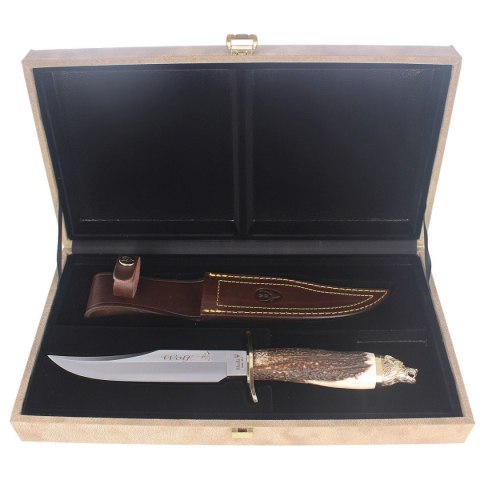 Nóż Muela Deer Stag, Satin 1.4116 Gift Box (WOLF-16A) Muela