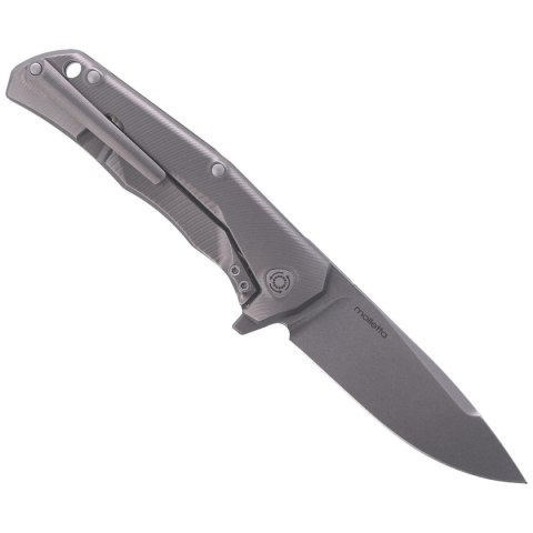Nóż składany LionSteel T.R.E. Grey Titanium / Grey Ti, Stone Washed M390 by Molletta (TRE GY) LionSteel