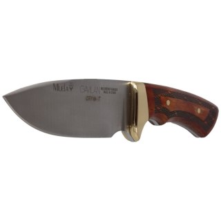 Nóż Muela Full Tang Beech wood 125mm (GAVILAN) Muela