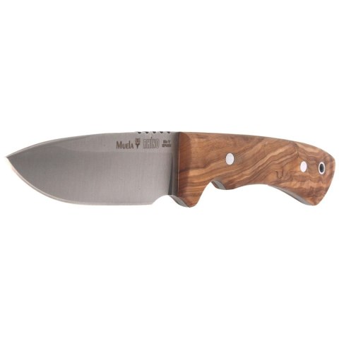 Nóż Muela Full Tang Olive Wood 90mm (RHINO-9.OL) Muela