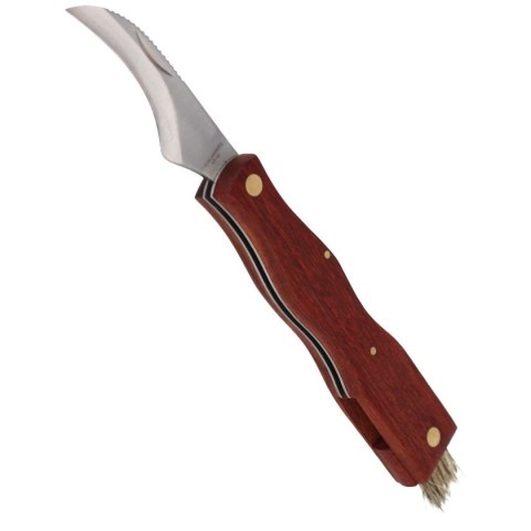 Nóż składany do grzybów Herbertz Solingen Brown Wood, Satin (211111) Herbertz GmbH