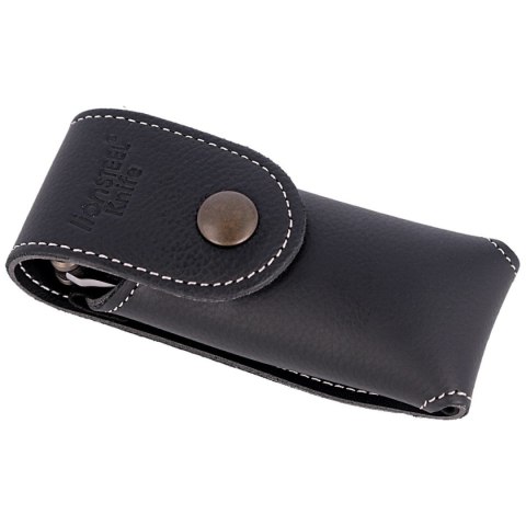 Nóż składany LionSteel SR22 Bronze Titanium, Satin Sleipner by Molletta (SR22 B) LionSteel