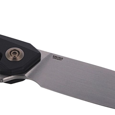 Nóż składany WE Knife Seer LE No 539/610 Black Titanium, Rubbed Silver CPM 20CV (WE20015-1) WE Knife
