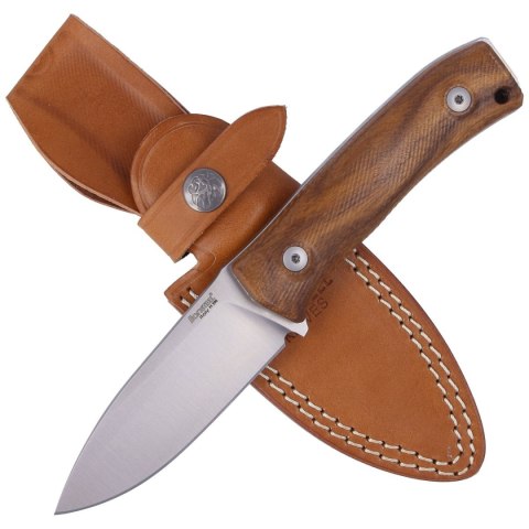 Nóż LionSteel Bushcraft Santos Wood, Satin M390 by Molletta (M4 ST) LionSteel